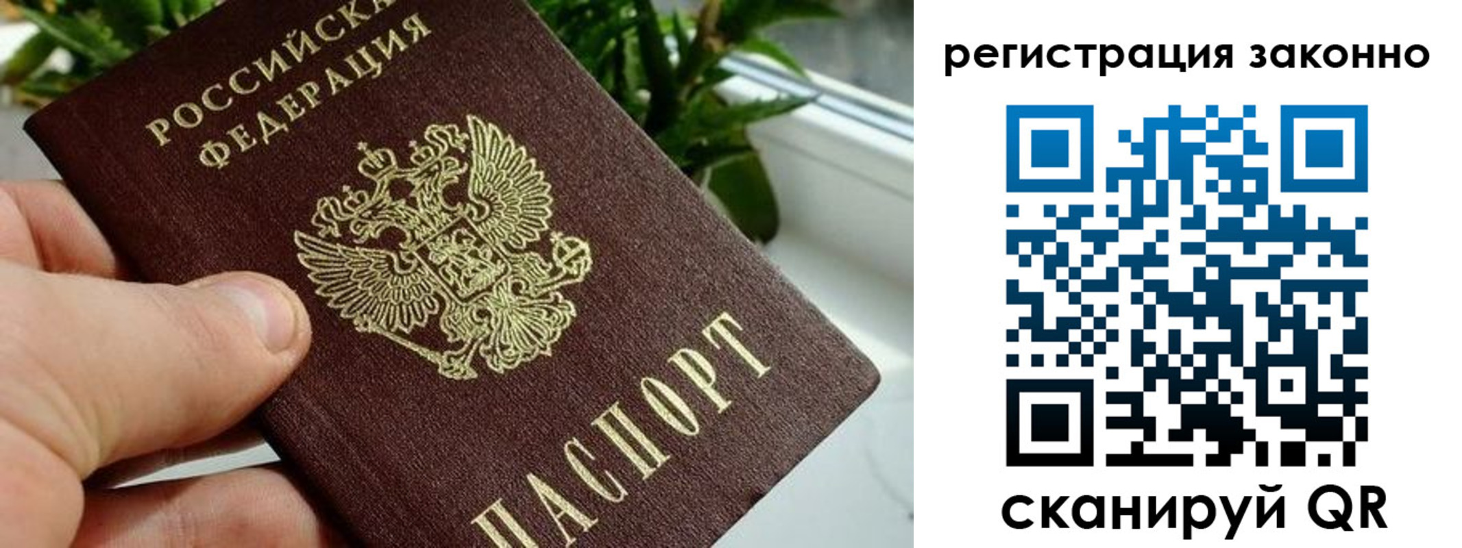 прописка гарантия в Кохме